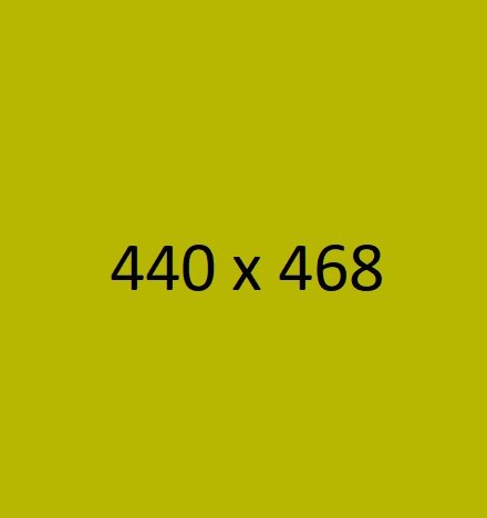 img21